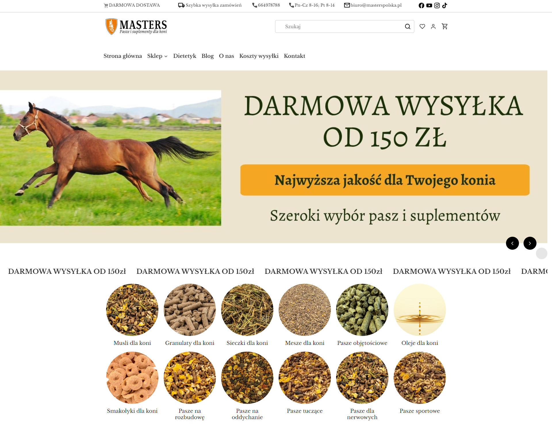 Jak dobrać paszę dla koni do wieku, pracy i kondycji zwierzęcia?